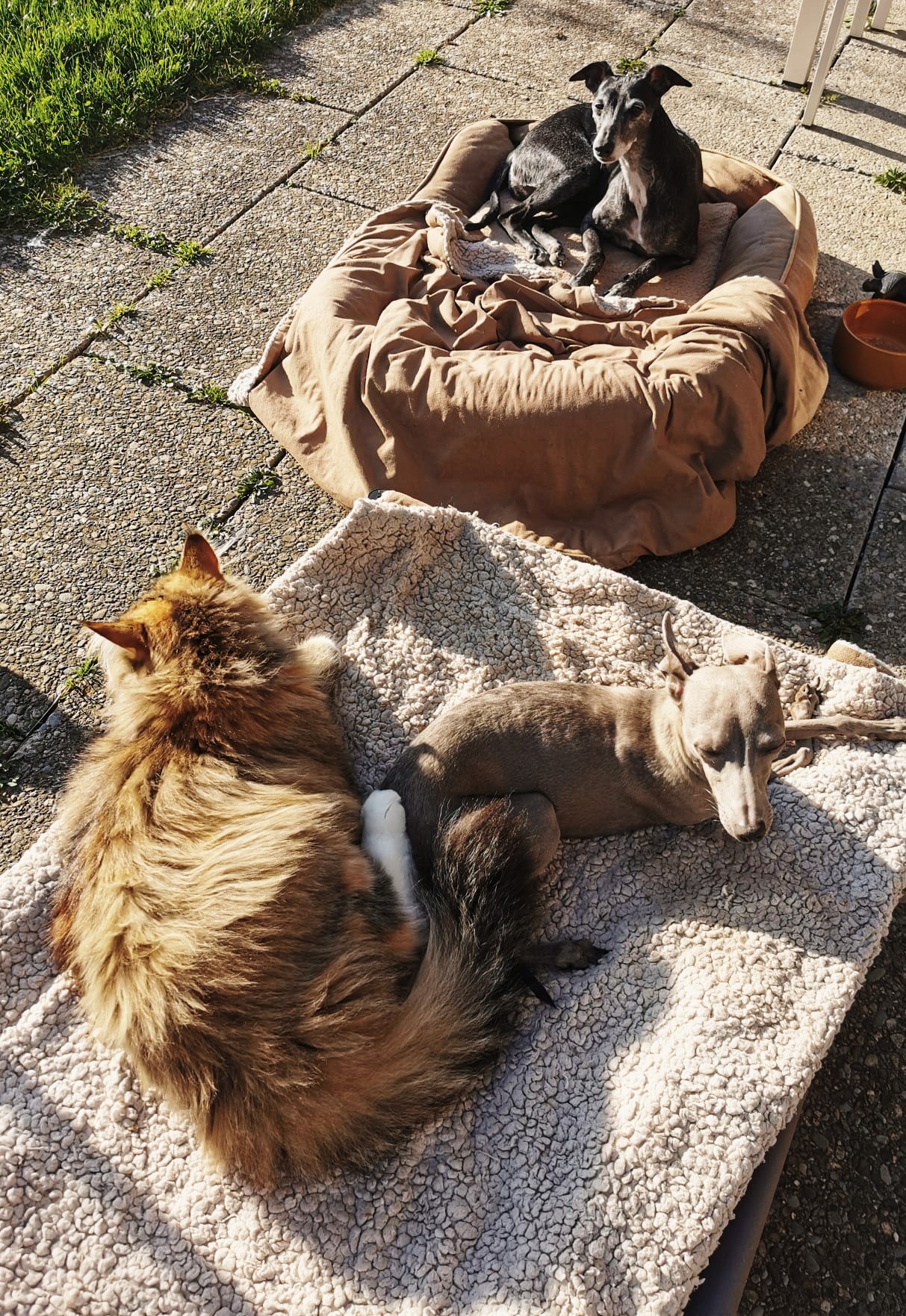 Trotzdem die Sonne genießen